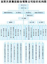 宜宾天原集团股份有限公司