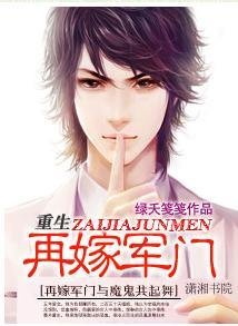 重生--再嫁军门