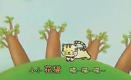 小小智慧树小花猫