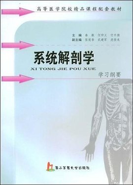 系统解剖学学习纲要