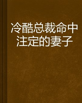 冷酷总裁命中注定的妻子