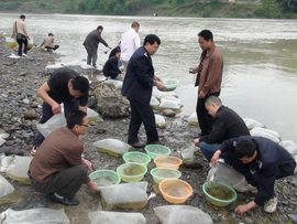汉江沙洋段长吻鮠瓦氏黄颡鱼国家级水产种质资