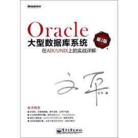 Oracle大型数据库系统在AIX\/UNIX上的实战详解