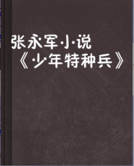 张永军小说《少年特种兵》