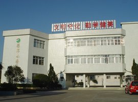 广东顺德振华小学