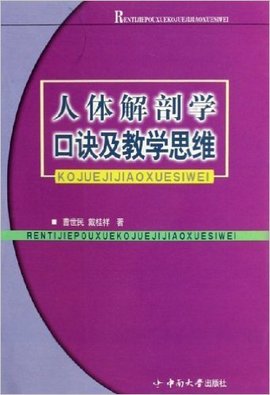 人体解剖学口诀及教学思维