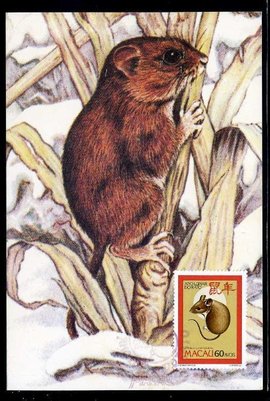 首鼠两端_360百科