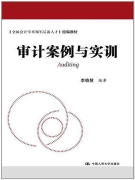 审计案例与实训_360百科