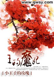 王的魔妃