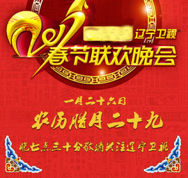 2017年春节联欢晚会图片