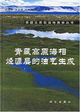 青藏高原海相烃源层的油气生成