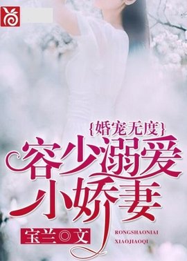 婚宠无度,容少溺爱小娇妻