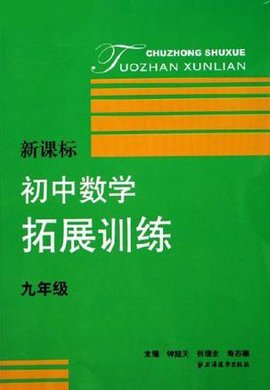 新课标初中数学拓展训练