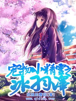 宠物小精灵之冰羽泽