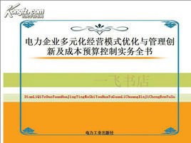 电力企业年度经营计划编制与财务预算控制管理