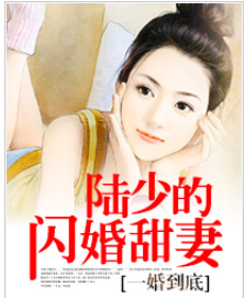 一婚到底:陆少的闪婚甜妻