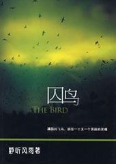 四个都市女人的情欲隐私:囚鸟