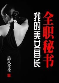 我的美女县长:全职秘书