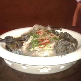 清蒸原味深海石斑鱼