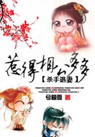 杀手逃妻:惹得相公多多