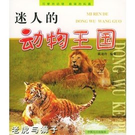 迷人的动物王国:老虎与狮子