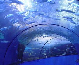 合肥汉海极地海洋世界