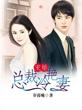 宠婚总裁冷艳妻