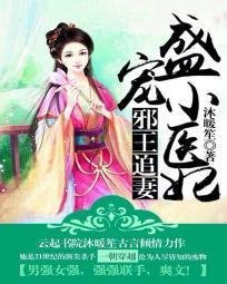邪王追妻:盛宠小医妃
