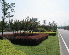 湖北省城市园林绿化企业资质申报管理工作规程