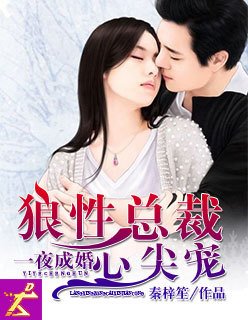 一夜成婚:狼性总裁心尖宠