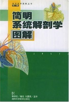 简明系统解剖学图解