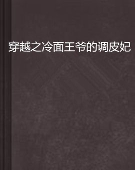 穿越之冷面王爷的调皮妃