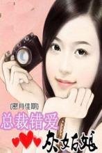 总裁错爱灰姑娘:蜜月佳期