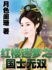 红楼迷梦之国士无双