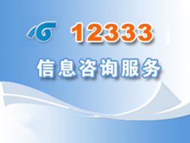 12333社保查询网
