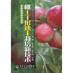桃主干形速丰栽培新技术