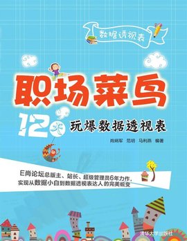 职场菜鸟12天玩爆数据透视表