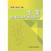 生姜脱毒与高产高效栽培