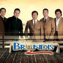 grupo bryndis