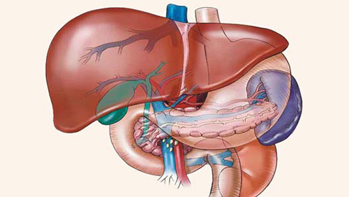转移性肝癌_360百科