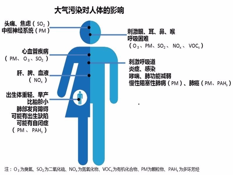 空气污染可伤心脑,危害呼吸系统, 6大人群需分外警惕