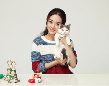 张翔玲,昵称"小苍",1984年8月3日出生于湖南长沙,中国电竞女选手,游戏